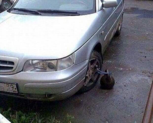 Свежие АВТОприкольные картинки