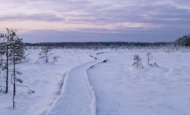 Источник фото: Unsplash