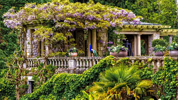 Хэтли Парк, Канада