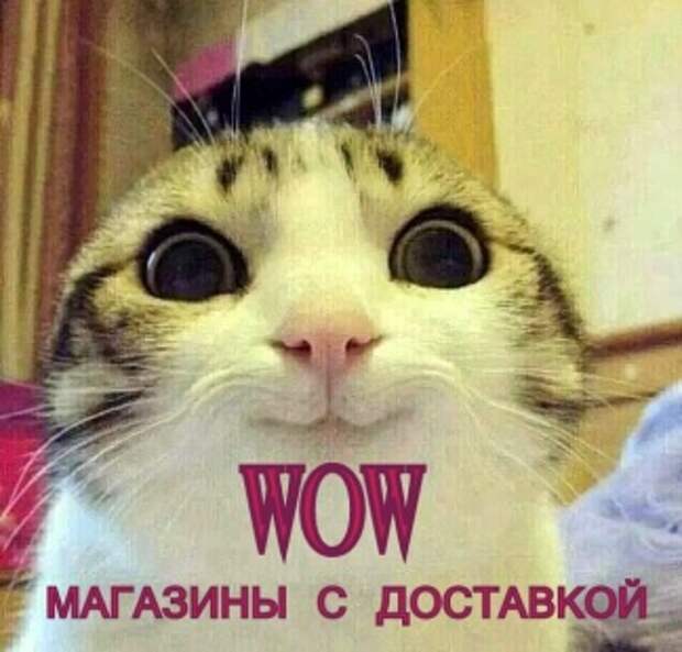 Необычные магазины с доставкой