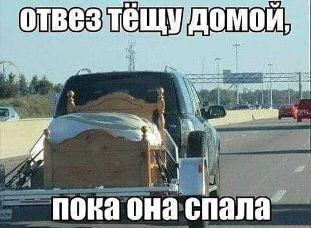Прикольные и смешные картинки