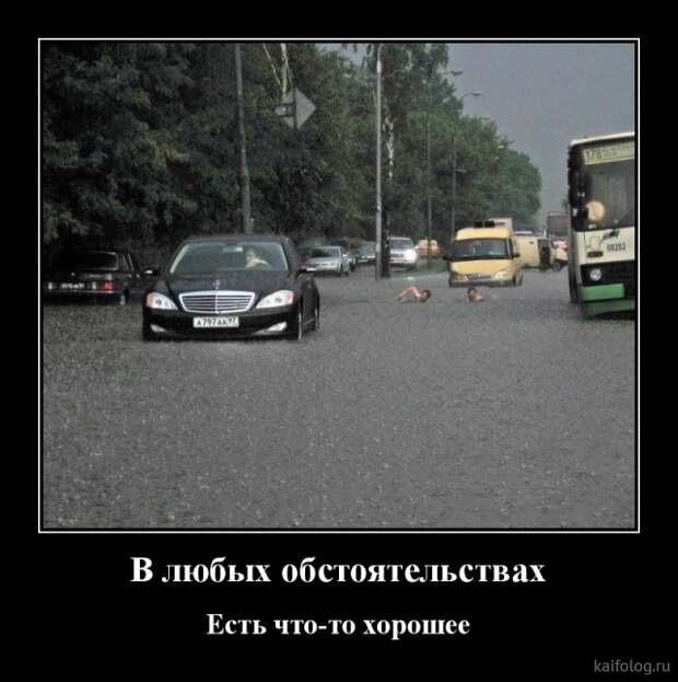 Весёлые демотиваторы (35 картинок)