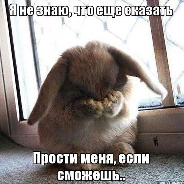 Похожее изображение