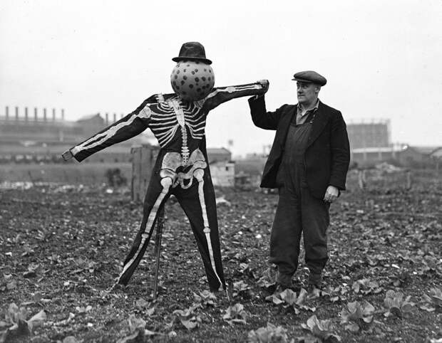 22. Фермер и его гениальная идея нарядить пугало скелетом, 1937 г. винтажное фото, мистика, ретро фото, ретро фотографии, смерть, старинные фотографии, трагедия