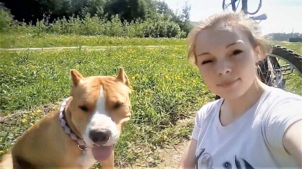 Смешные и милые животные Ты залипнешь на 10 минут