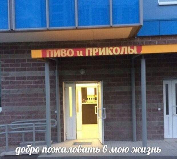Подборка смешных фото и прикольных картинок с надписями