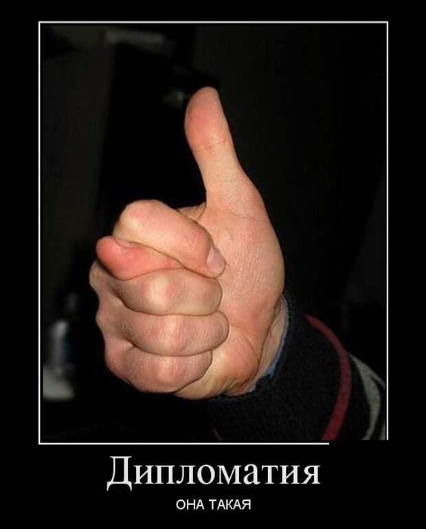 Свежие пятничные демотиваторы для веселья (11 фото)