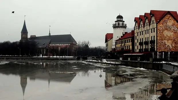 Гиена Европы: сможет ли Польша заполучить Калининград