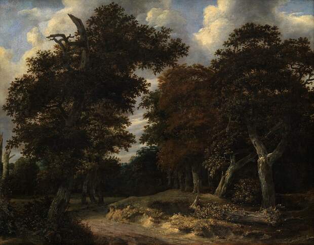 Копенгаген (СМК) Датская национальная галерея - Jacob Isacksz van Ruisdael (C. 1628-82) - Road through an oak Forest, 16