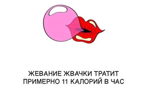 Интересные факты на все случаи жизни