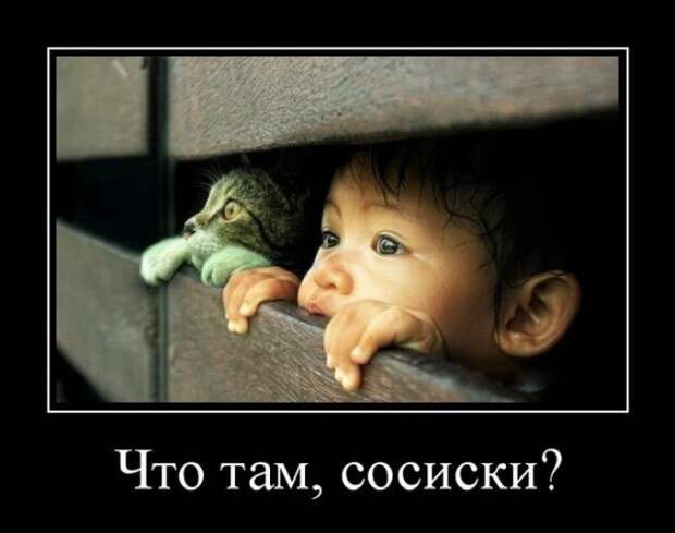 Демотиваторы (20 фото)
