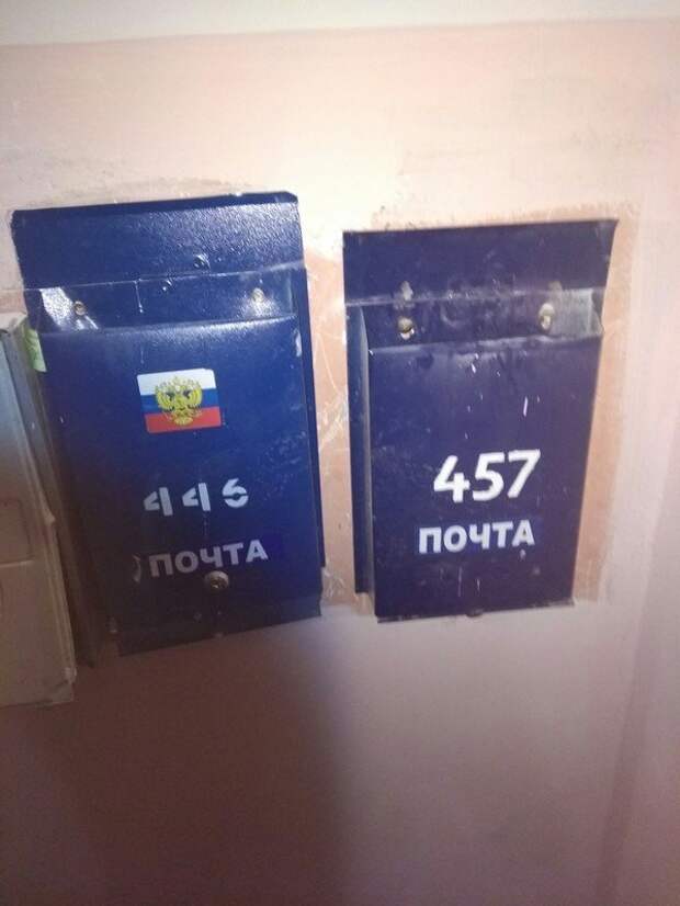 Ленивее этого поста только ленивцы