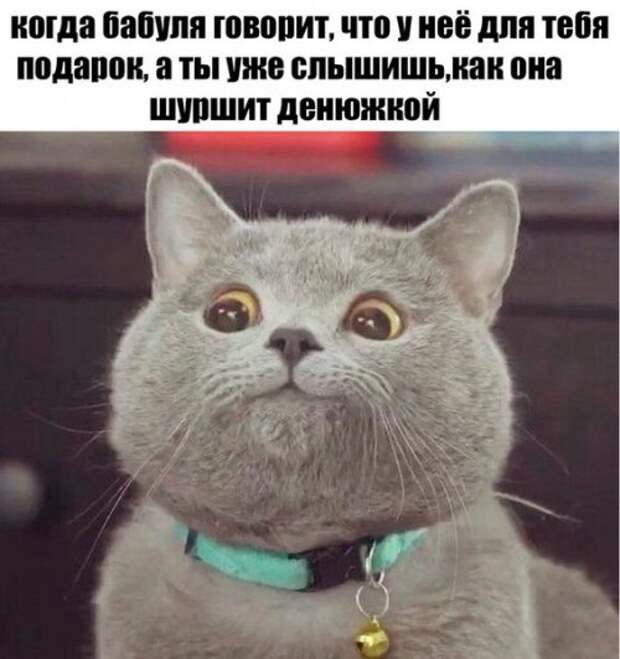 Новогодние фотомемы (32 шт)