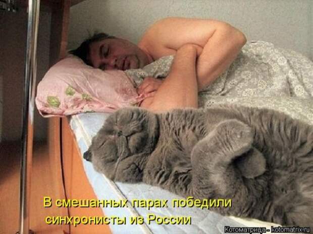 Новая отличная котоматрица (38 фото)
