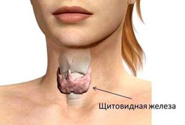 диета для щитовидки