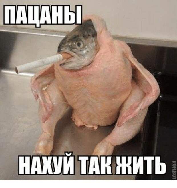 картинкопост