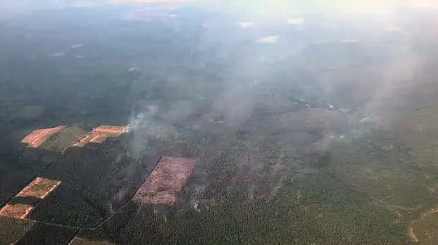 Авиация Минобороны за двое суток потушила пожары площадью 113 тысяч га