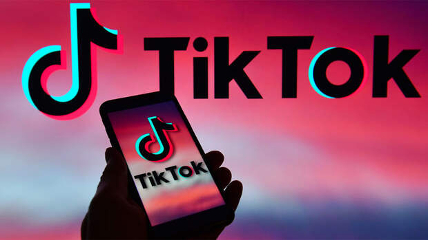 Мизулина: TikTok могут разблокировать в России в этом году