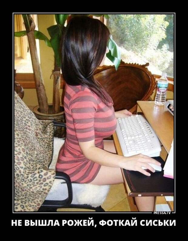 3416556_original (545x700, 96Kb)