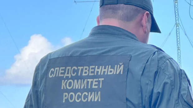 RT: ударивший ребенка в Шереметьево мужчина употребил гашиш и виски до вылета