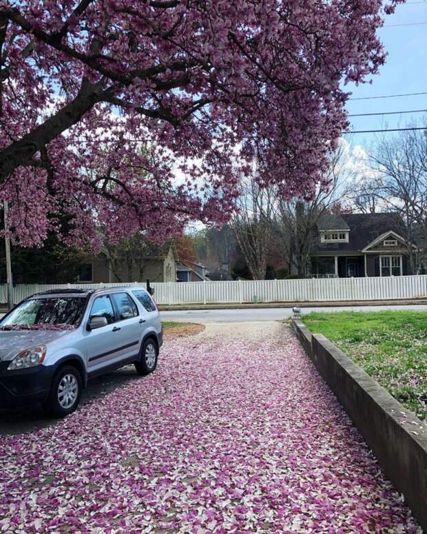 Фотоподборка