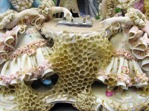 honeycomb-bee-art-sculpture-aganetha-dyck-10