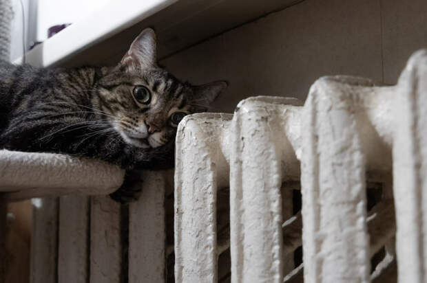 Погода 19 февраля: мокро и холодно