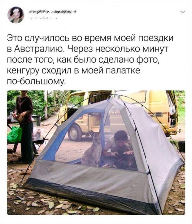 Сувенир из Австралии Сувенир из Австралии