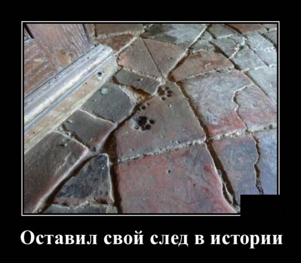 Демотиваторы (20 фото)