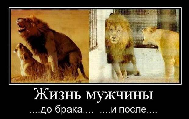 Прикольные и зачетные демотиваторы со смыслом (10 фото) Прикольные и зачетные демотиваторы со смыслом (10 фото)