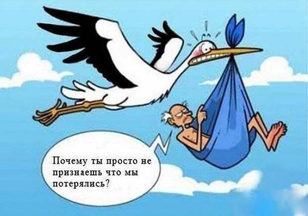 Прикольные картинки