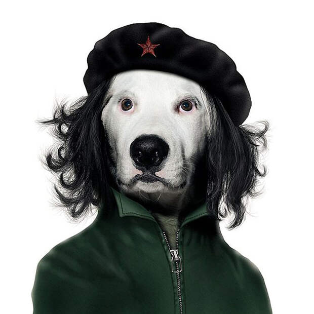 Знаменитые личности в животном обличье