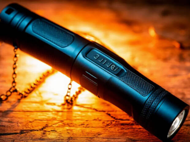 У пассажира в Толмачево изъяли электрошокер