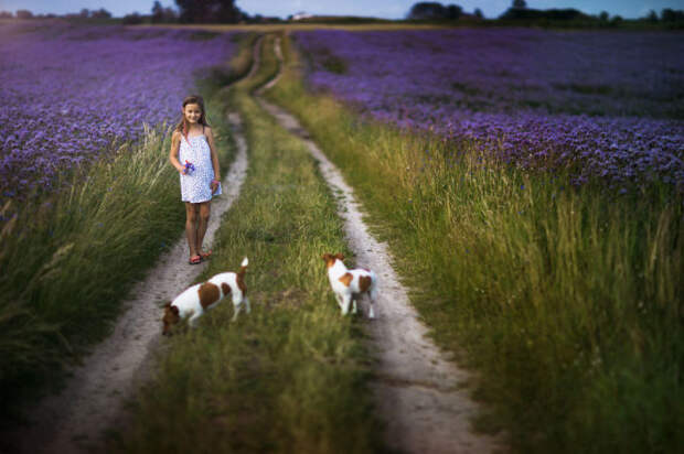 Девочка с веселыми спутниками между фиолетовых полей.