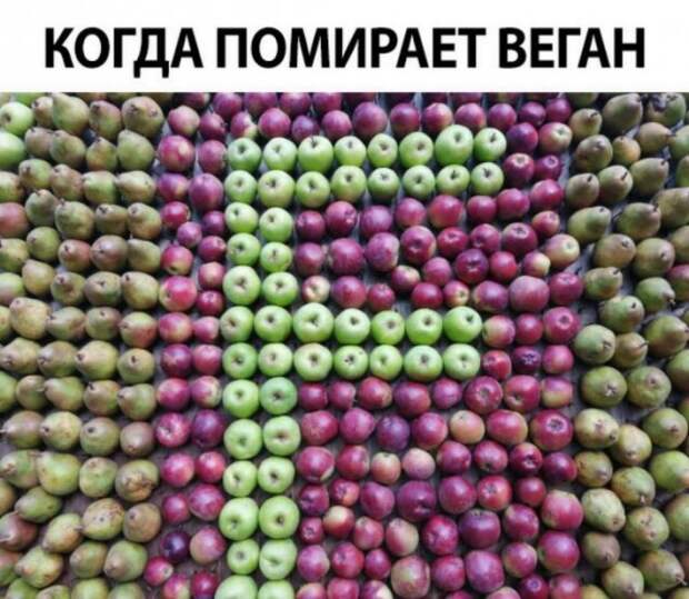 Подборка картинок. Вечерний выпуск (31 фото)