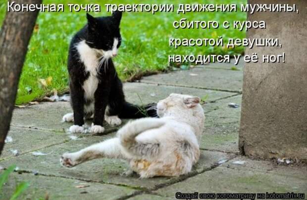 Мысли вслух :)