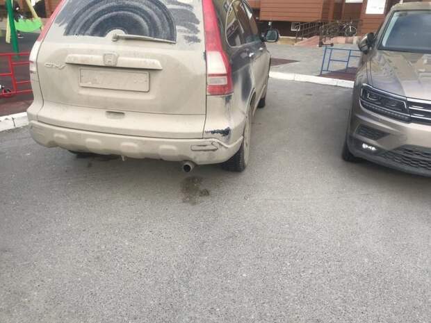 Мужчине не понравилось, как припаркован автомобиль и он выгулял на нем свою собаку