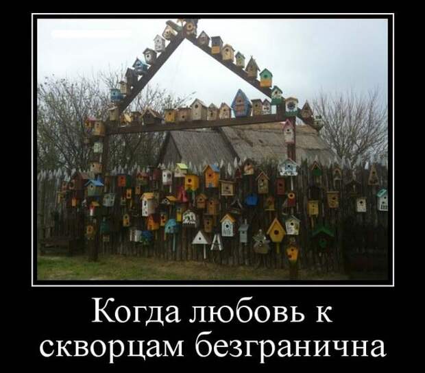Утренние пятничные демотиваторы для веселья (11 фото) Утренние пятничные демотиваторы для веселья (11 фото)