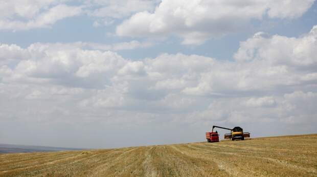 Le Figaro: Россия сделала ставку на «зерновую дипломатию» и не прогадала
