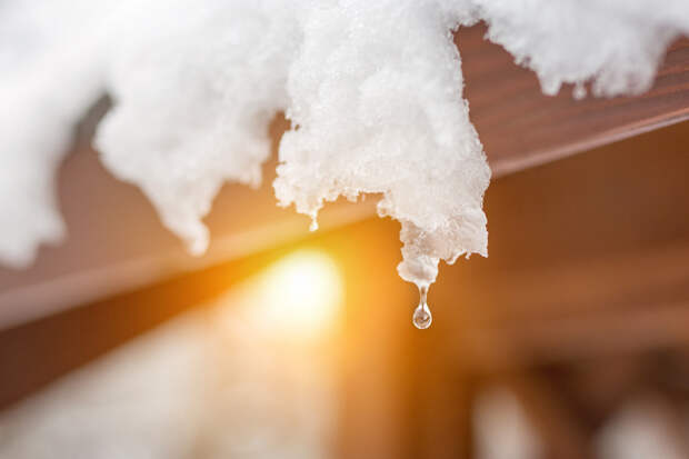 Фото © Shutterstock