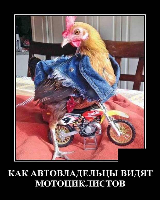 Демотиваторы (20 фото)