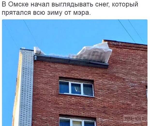 комменты из соцсетей