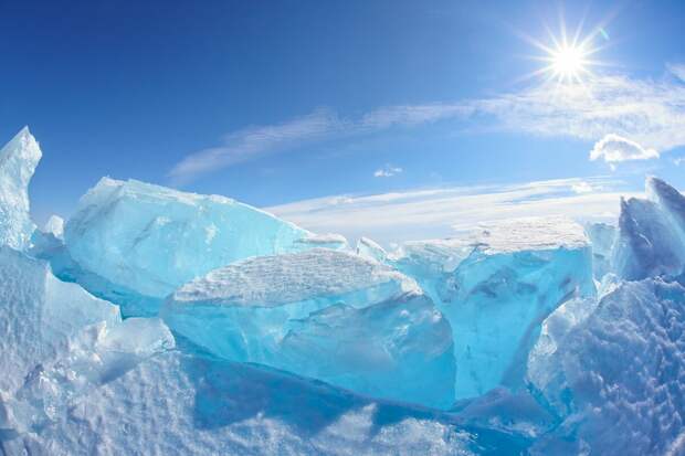 Serg Zastavkin/Shutterstock
