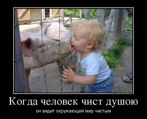 Немного новых демотиваторв