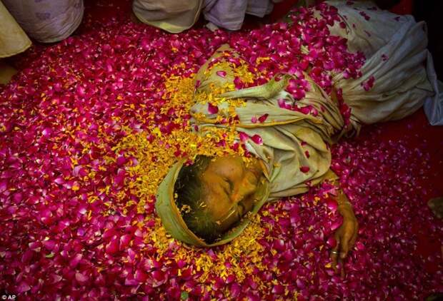 Белая вдова, лежащая на лепестках роз, во время праздника холи.