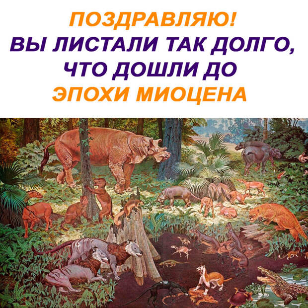 Коротко о разном. 14.02.2021