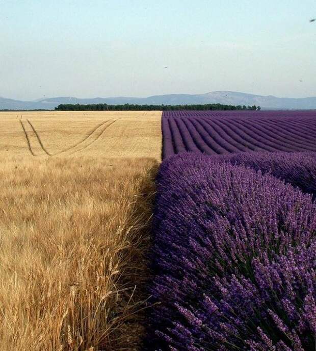 Великолепные фото, в которых нет фотошопа (40 фото)