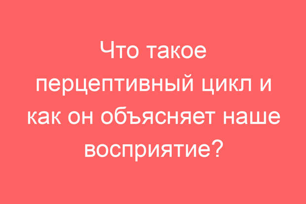 Что такое перцептивный цикл и как он объясняет наше восприятие?