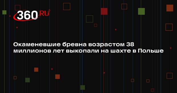 RMF FM: в Польше нашли древние бревна возрастом 38 миллионов лет