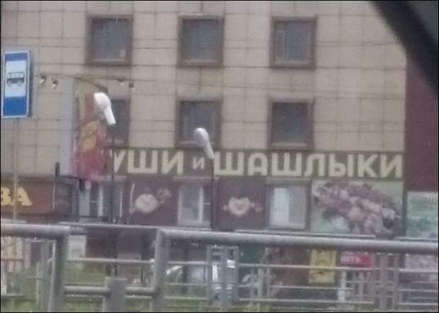 Буква решает все (29 фото)